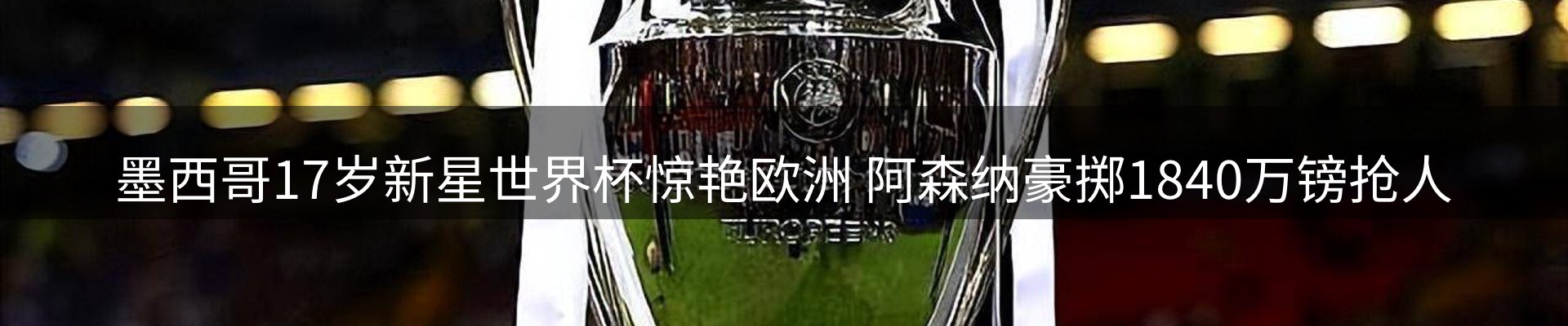 新闻动态
