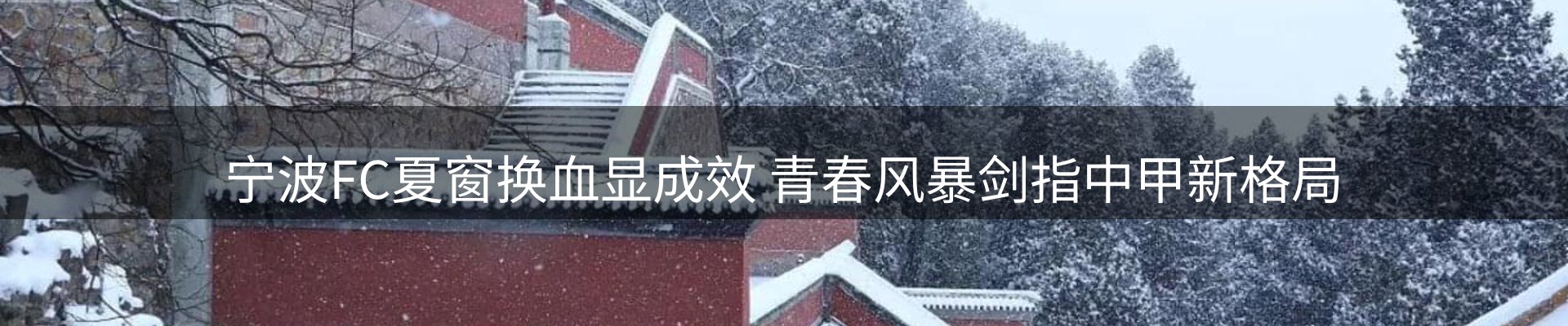 新闻动态