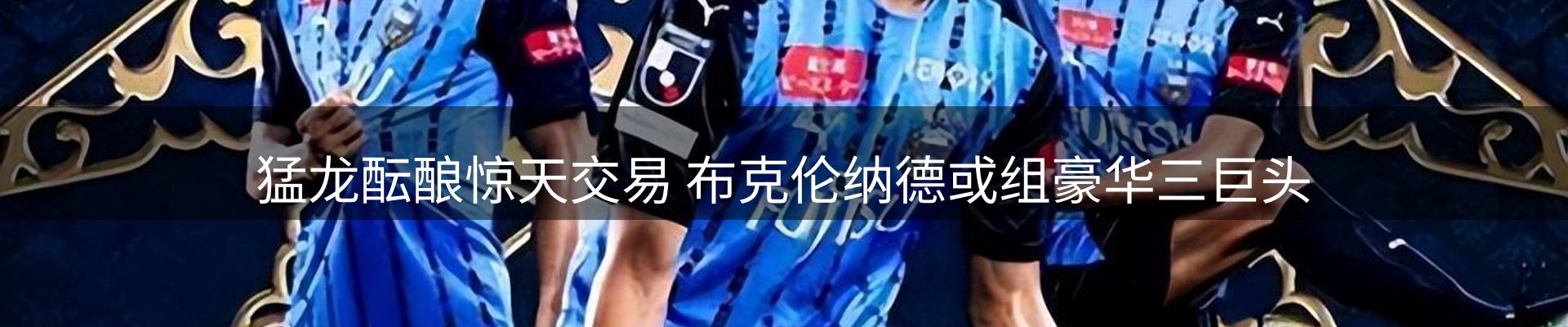 新闻动态