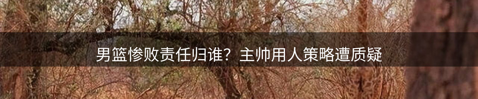 热点聚焦