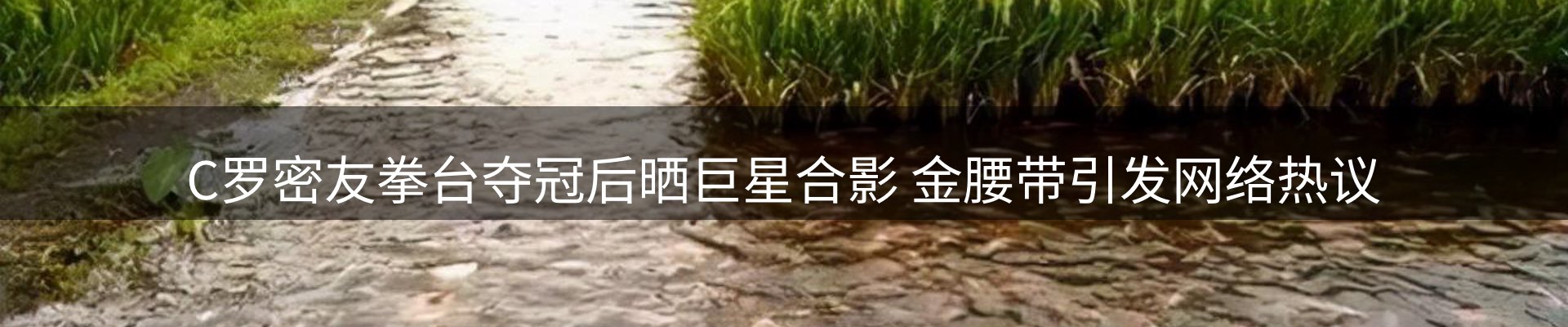 新闻动态